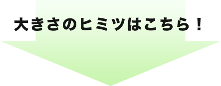 大きさのヒミツはこちら！